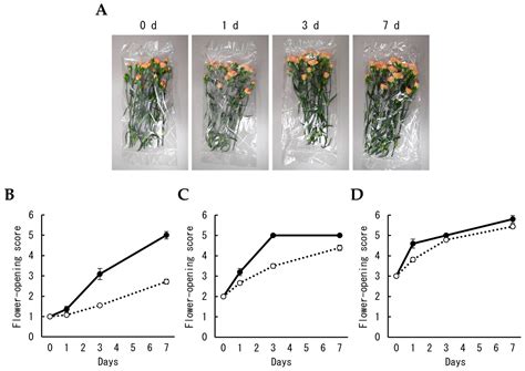 Low-Oxygen Responses of Cut Carnation Flowers Associated with Modified ...