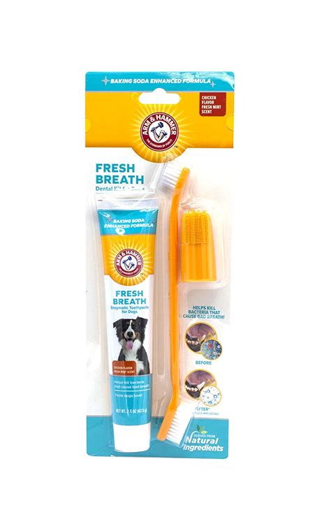 Arm & Hammer Advanced Pet Care Enzymatic Toothpaste & Brush Set for ...