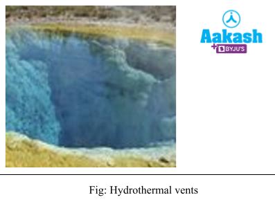Kingdom Monera: Classification, Characteristics & Archaebacteria | AESL
