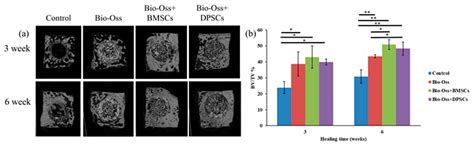 Comparing the Osteogenic Potentials and Bone Regeneration Capacities of ...