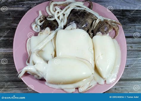 Decapodiformes: Unmasking the Mysteries of Squids, Cuttlefish, and Their Kin