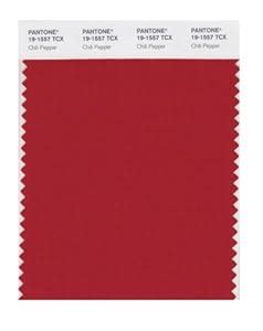 PANTONE Smart 19-1557X Color Swatch Card, Chili Pepper : Amazon.in ...