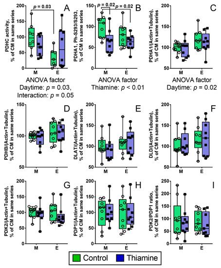 IJMS | Special Issue : Mitochondria in Human Diseases