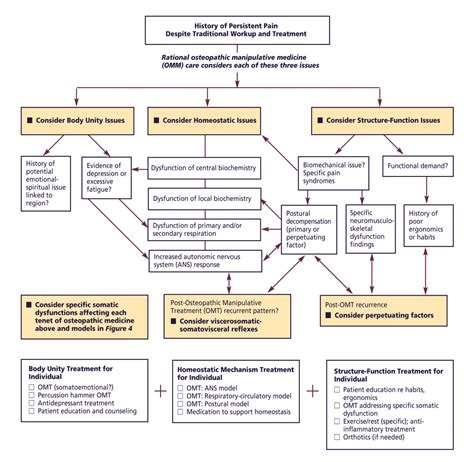 Osteopathic Manipulative Medicine Considerations in Patients With ...