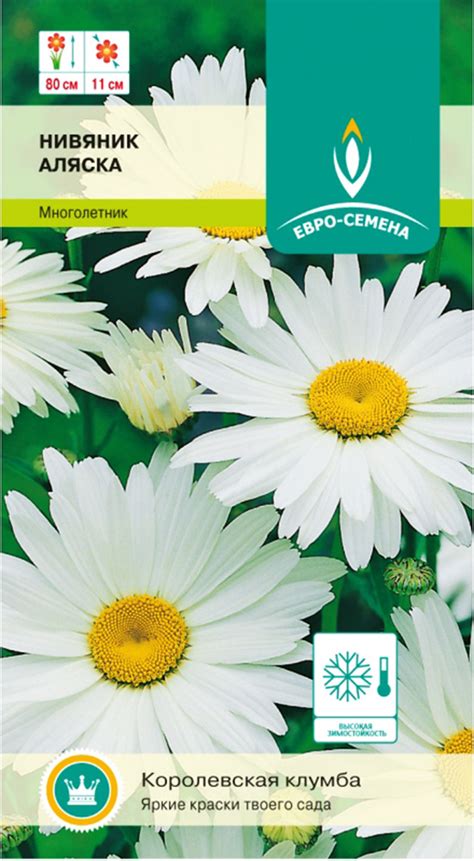 Нивяник (Ромашка луговая), Нивяники ЕВРО-СЕМЕНА ес2-002071-1 - купить ...