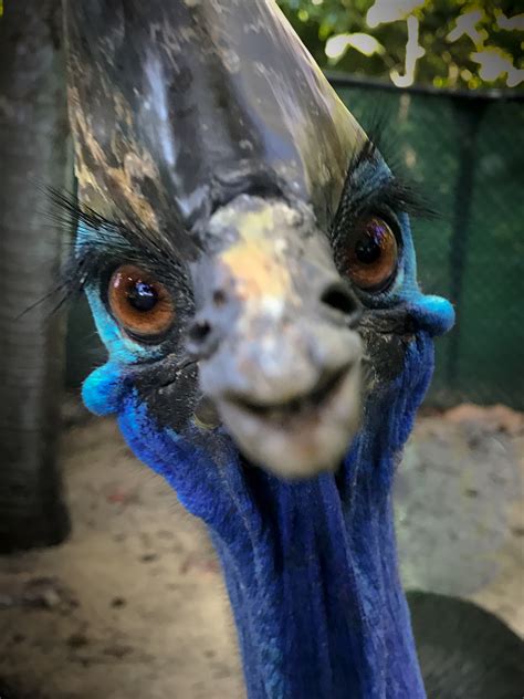 Daily keeper talks at the Zoo Rockhampton Zoo