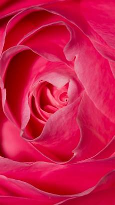Iphone 7 Hd Wallpaper by 50 Awesome Iphone 7 Hd Wallpapers Websurf Media Iphone 7 Hd Wallpaper