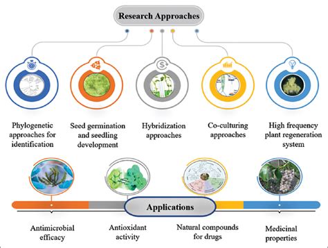 A comprehensive review on global research trends on Aerides genus with ...