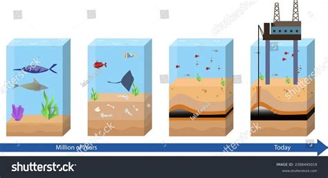 Fossil Fuel Formation Stock Photos - 305 Images | Shutterstock