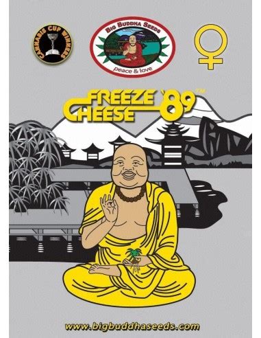 Freeze Cheese 89 (Big Buddha Seeds) Feminized Seeds