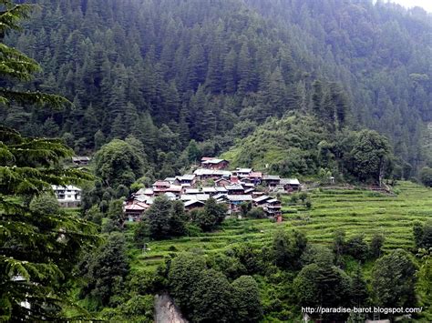 15 Places To Visit In Himachal Pradesh In December 2022