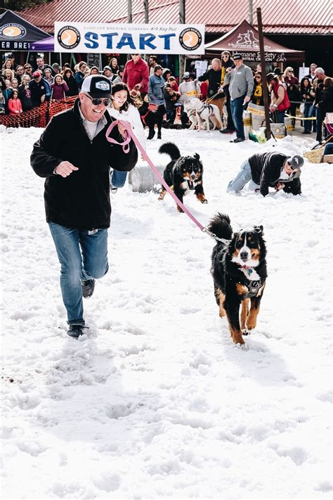 Enter Fido in the 2025 Sunriver Brewing Co. K9 Keg Pull | BREWPUBLC
