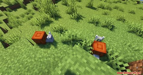 Image result for Animalia Mod Minecraft