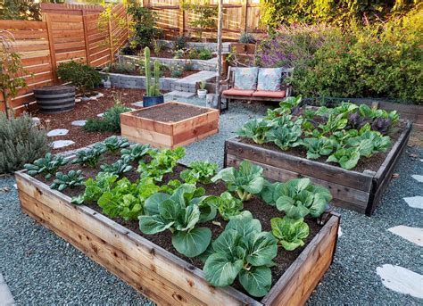 7 Stunning Raised Garden Bed Photos & Ideas