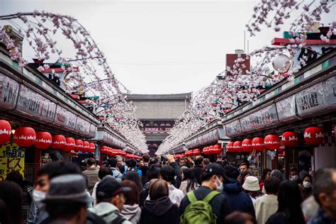 Japan Tourism 的图像结果
