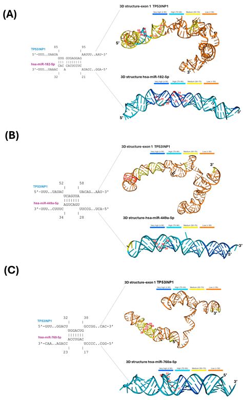 Alterations in the Expression of a Set of miRNAs in Endometrial Cancer ...
