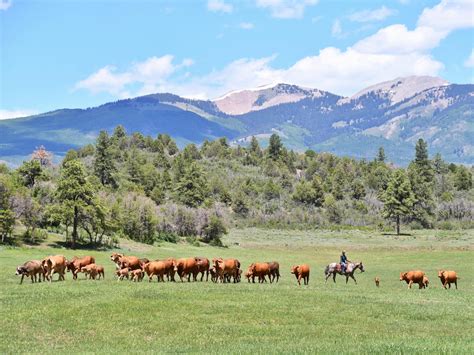 North Star Ranch Colorado | Mancos | Fay Ranches