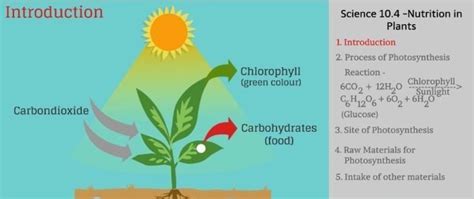 Describe The process of Photosynthesis.[tex] \times no \: spamming ...