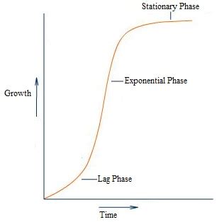 The given image represents?