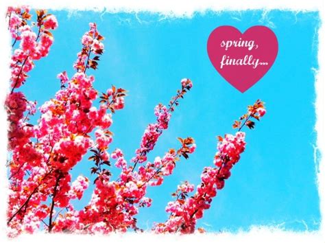 Image result for Have Beautiful DaySpring