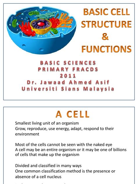 Basic Cell Structure & Function | PDF | Cell (Biology) | Cell Membrane