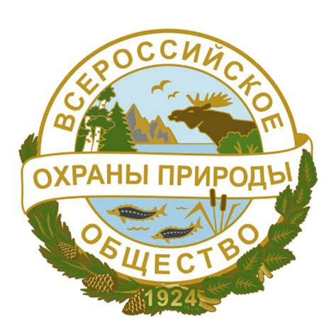 ВООП СПБ и ЛО