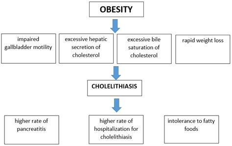 The Etiology of Cholelithiasis in Children and Adolescents—A Literature Review