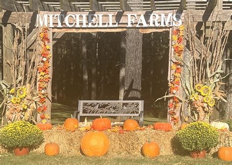 Collins Mississippi History at Piper Walton blog