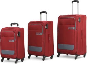CITIZEN Wander Weave Cabin & Check-in Set 4 Wheels - 30 inch Red ...