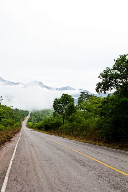 Schöne Frosty Morgen Sommer Hügel mit Wald | Kostenlose Foto
