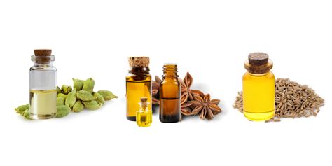 Extraction of essential oil present in Saunf Ajwain Elaichi ...
