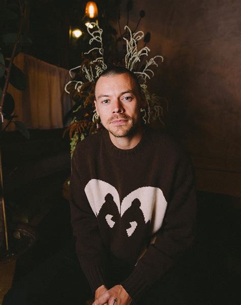 Harry Styles gives a closer look at his shaved head, fans divided on ...