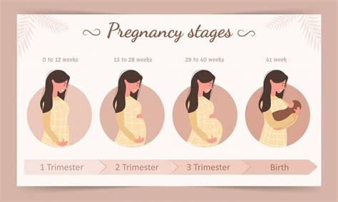 怀孕11周为什么突然胎停 - 抖音