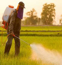 High Purity Laboratory Chemicals manufactures Fine Laboratory Chemicals ...