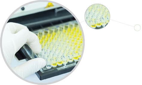 Optics for Fighting COVID-19 | Edmund Optics