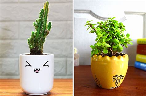 Welcome 2021 With One Of These 16 Plant Friends In Your Life
