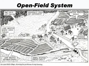 Open Field Building 的图像结果