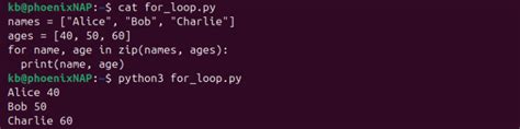 Image result for Python for Loop Format