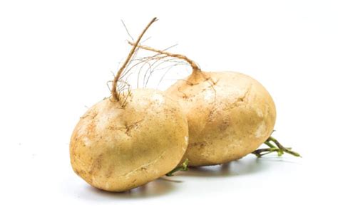 11 Manfaat Bengkoang untuk Kesehatan: Segar Berkhasiat