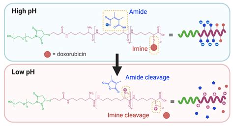 Strategies for the Development of pH-Responsive Synthetic Polypeptides ...