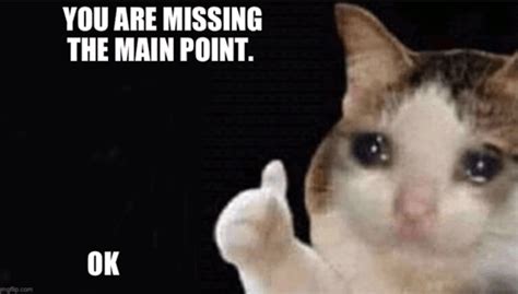 Missing The Main Point GIF - Missing the main point Missing Main point ...