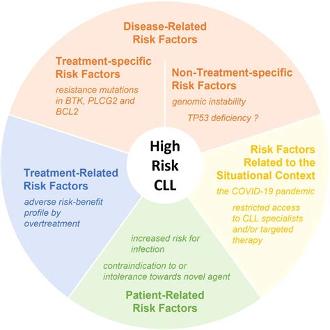 Frontiers | Opinion: What defines high-risk CLL in the post ...