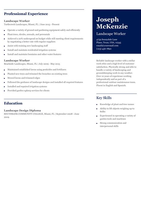 Professional Resume Examples 的图像结果