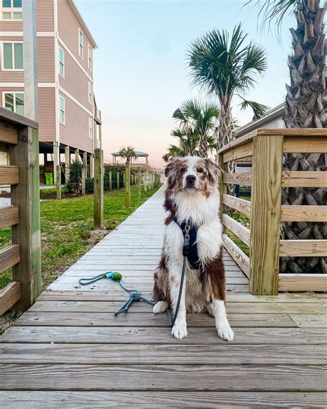 Surf City Line Bar & Restaurant | Surf City, NC
