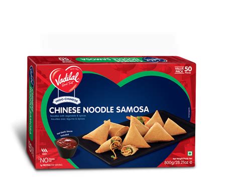 Chinese Noodle Samosa – Vadilal Quick Treat