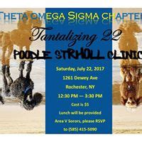 129 Events in Rochester this Weekend, All Events in Rochester