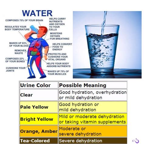 64 Ounces to Liters: A Quick and Easy Conversion Guide