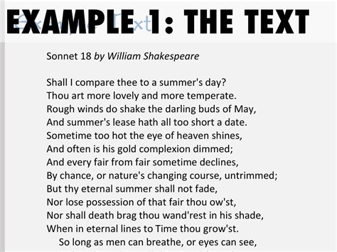 Commentary Examples 的图像结果