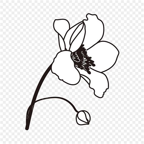 Flower Clipart Black And White