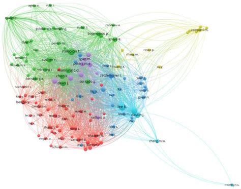 Context-Aware Embedding Techniques for Addressing Meaning Conflation ...